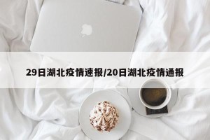 29日湖北疫情速报/20日湖北疫情通报