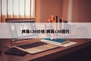 腾翼c30价格:腾翼c30图片